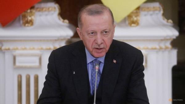 Turkey's President Erdogan tests positive for COVID-19